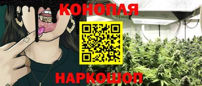 гидропоника Кунгур