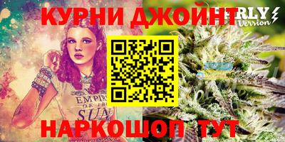 гидропоника Кунгур