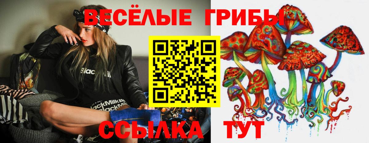 Псилоцибиновые грибы Psilocybine cubensis Жигулёвск